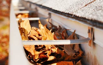 Upper Town gutter cleaning companies